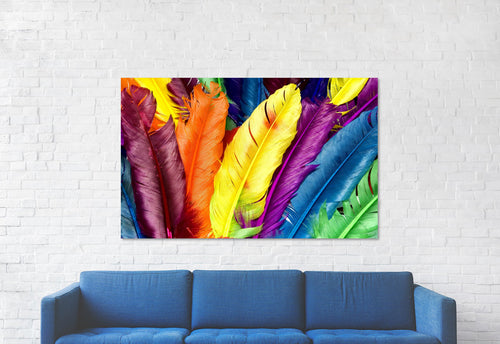 Plumas